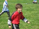 ragbi-IMG_0415